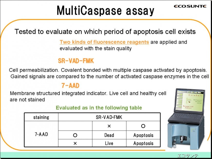 Apoptosis inductive effect test
